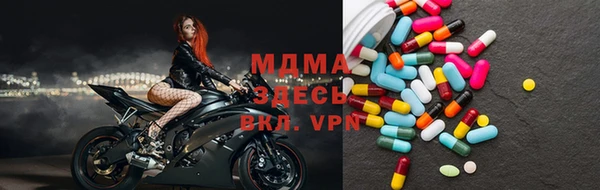 mdpv Бородино