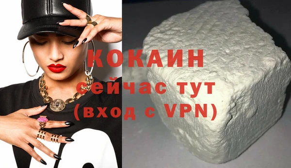 mdpv Бородино