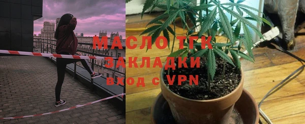 индика Рославль