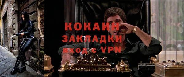 mdpv Бородино