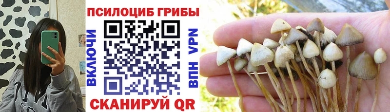 Псилоцибиновые грибы прущие грибы  МЕГА ссылки  Новохопёрск 